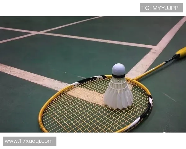 杭州羽毛球队意识对比深度剖析与战术演变的独特视角