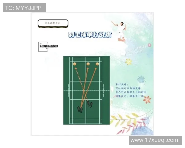 杭州羽毛球队的战术创新与转换体系解析探讨